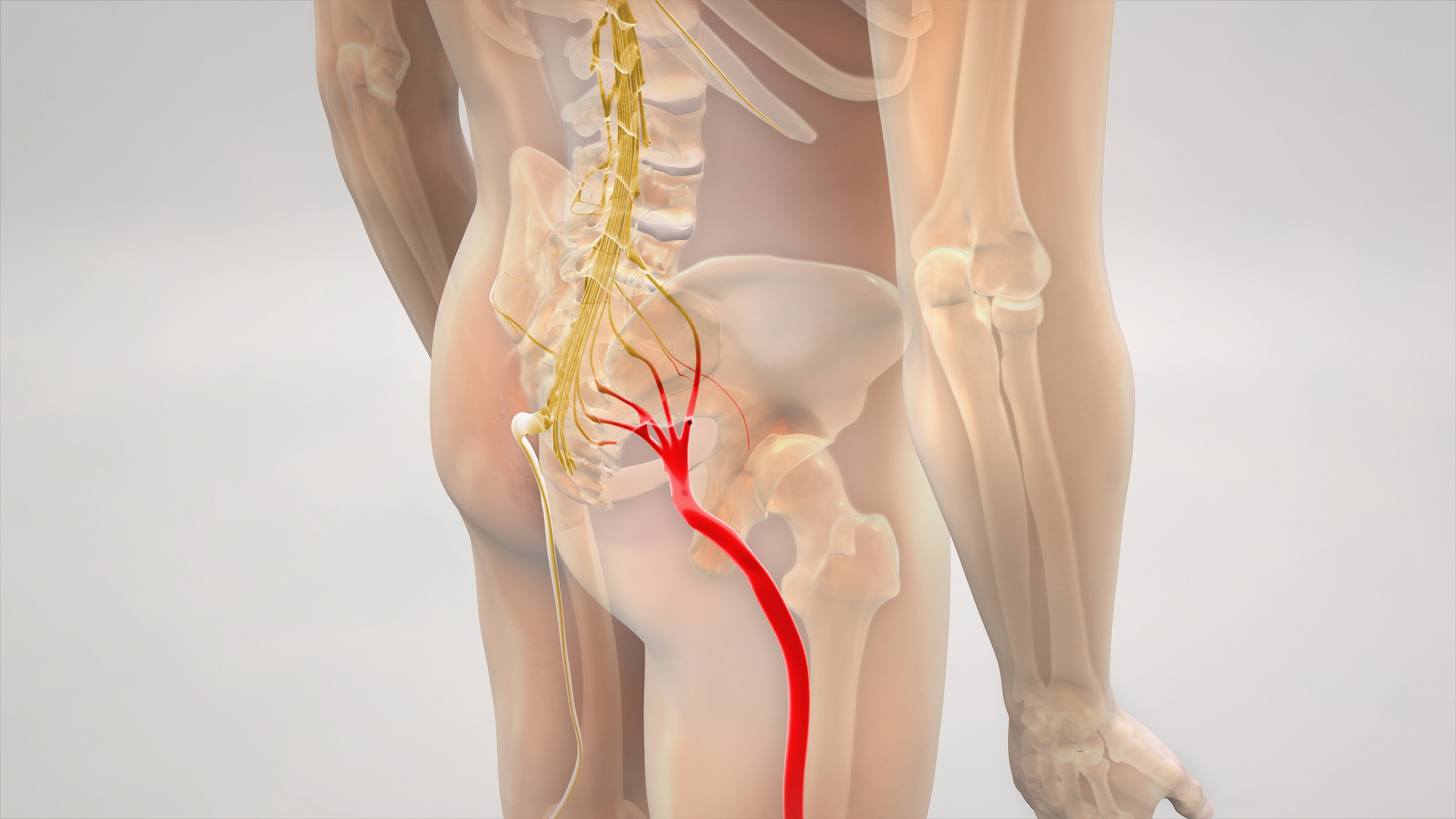 Leg Pain Sciatica Relief   NUCCA Wellness Clinic of Chicago